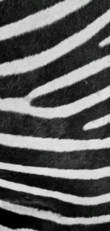 Black and white zebra stripes mobile wallpaper.