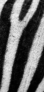 Zebra stripes create a stylish black and white phone wallpaper.