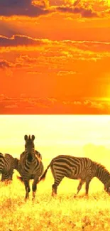 Zebras walking at sunset in an African savanna, with vibrant orange skies.