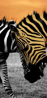 Zebra Vertebrate Organism Live Wallpaper