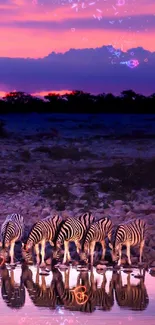 Zebras by the water at sunset with pink skies.