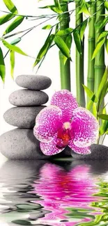 Zen-inspired wallpaper with bamboo, orchid, and stones.