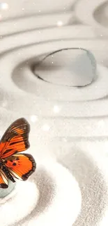 Butterfly resting in a minimalist Zen garden with sand patterns.