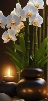 Elegant orchids and candles with bamboo in a calming wallpaper design.