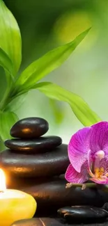 Mobile wallpaper with spa stones, orchid, bamboo, and candle.