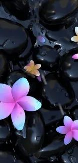 Mobile wallpaper with black stones and colorful flowers.